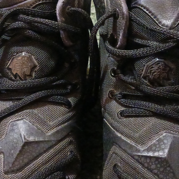 men's lebron james black lion 13. like new - Picture 6 of 10